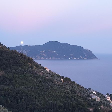 Casa Bubo Lejlighed Bogliasco Eksteriør billede